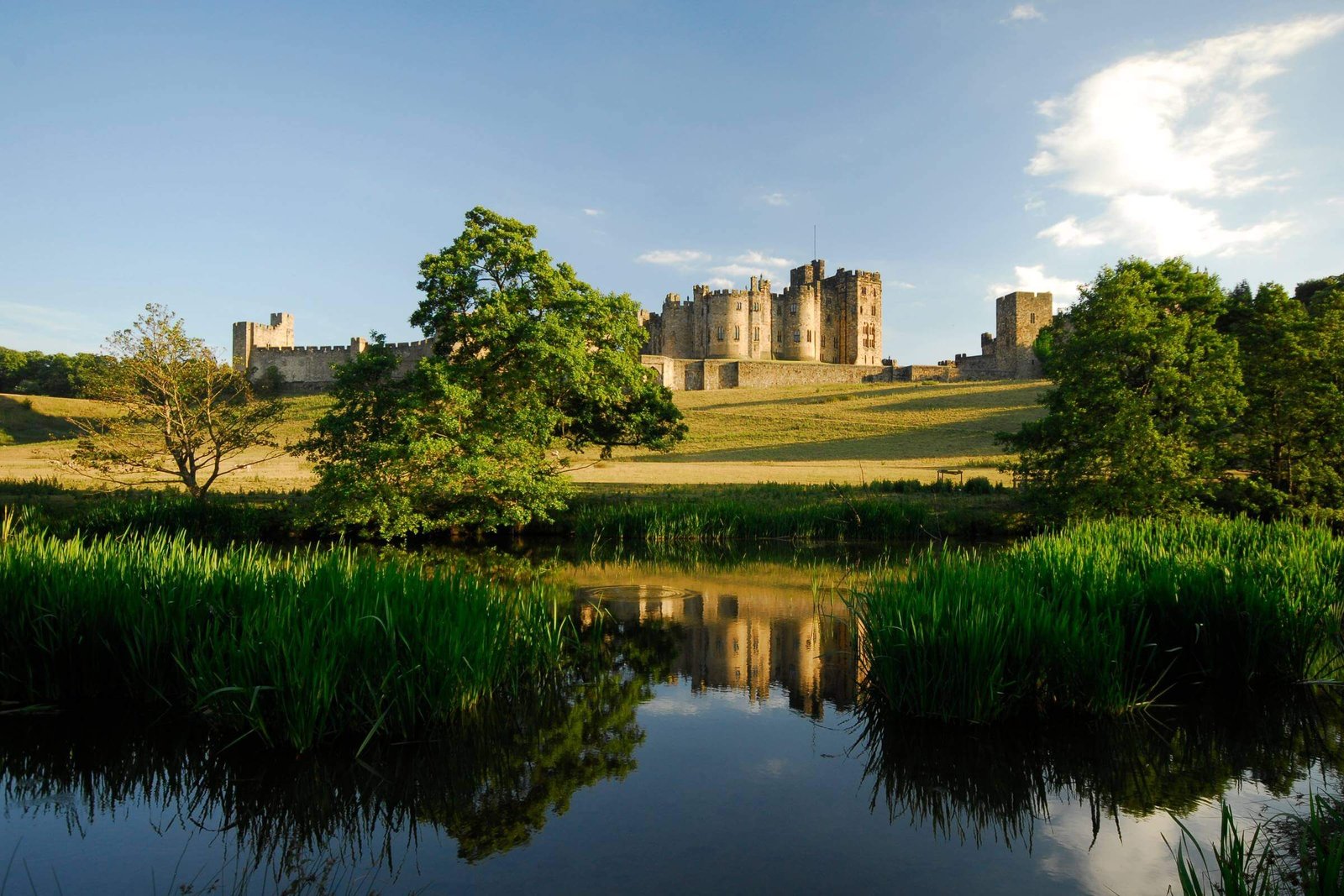 Alnwick Castle image 3