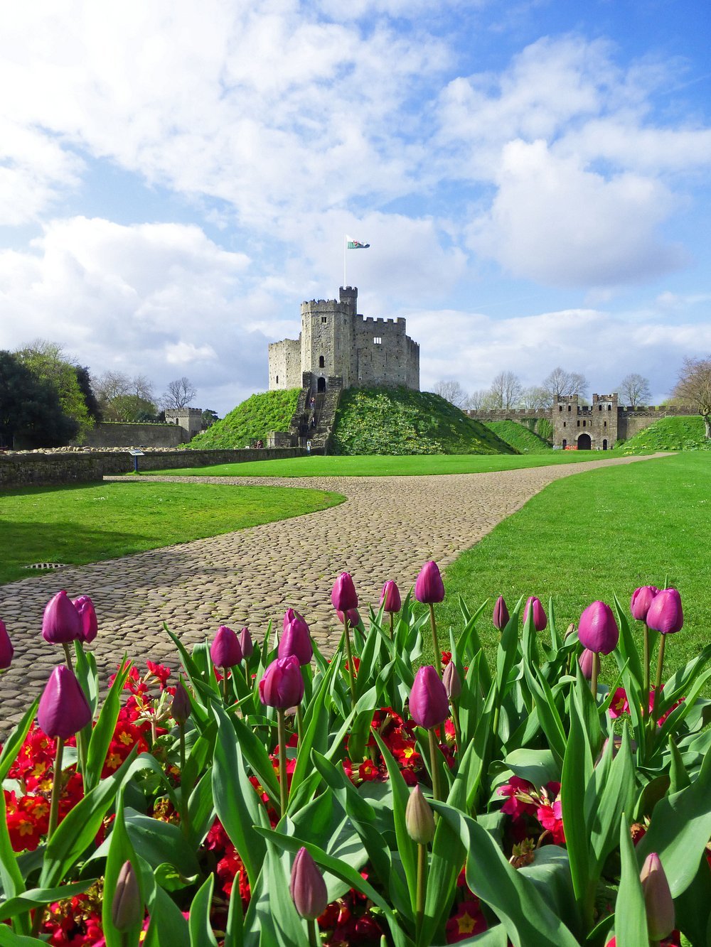 Cardiff Castle image 3