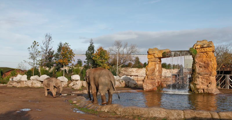 Chester Zoo image 1