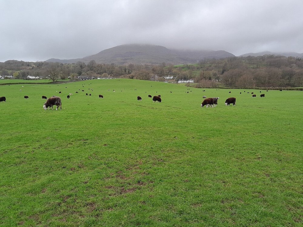 Coniston Water image 2