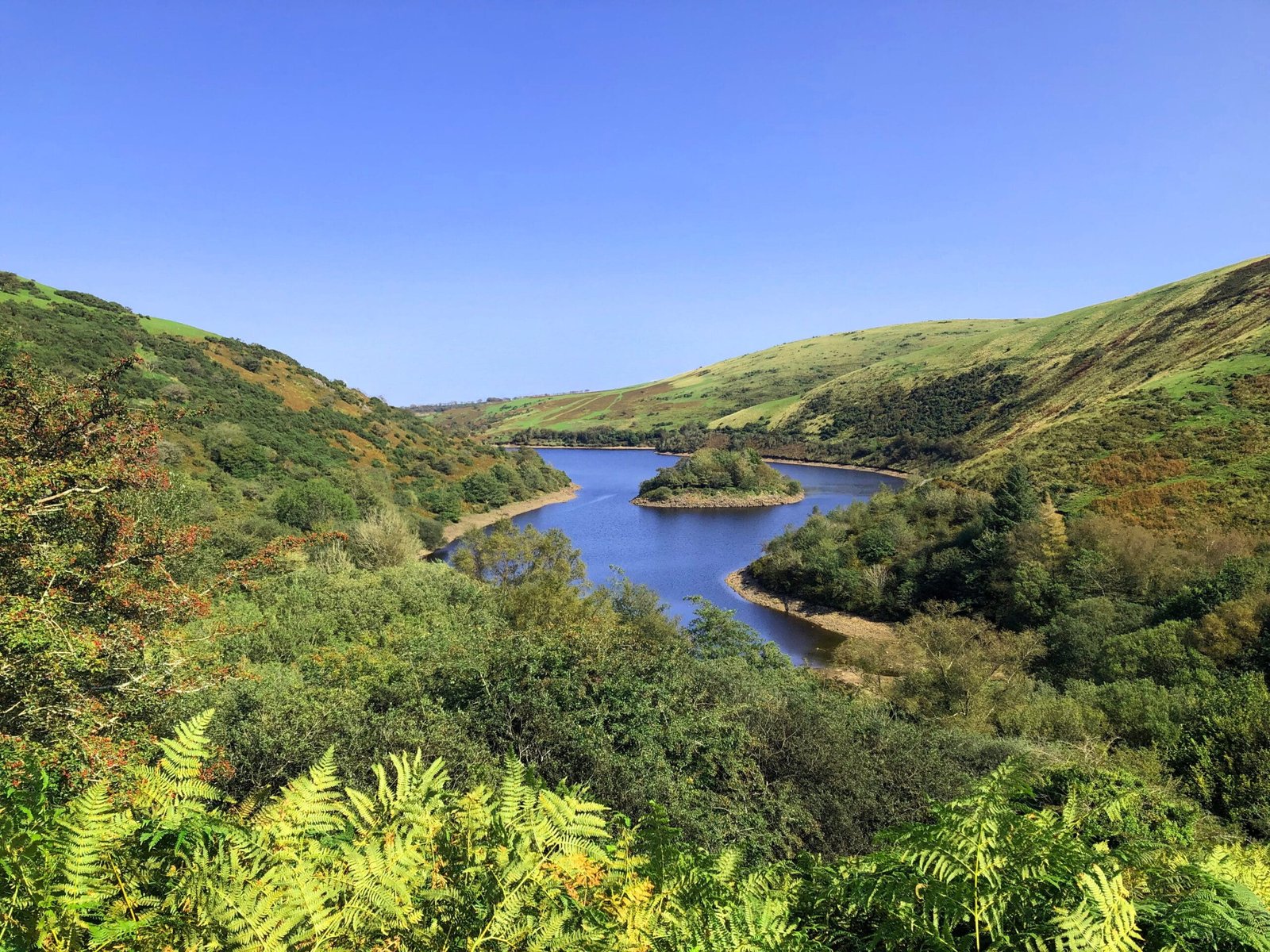 Dartmoor National Park image 1