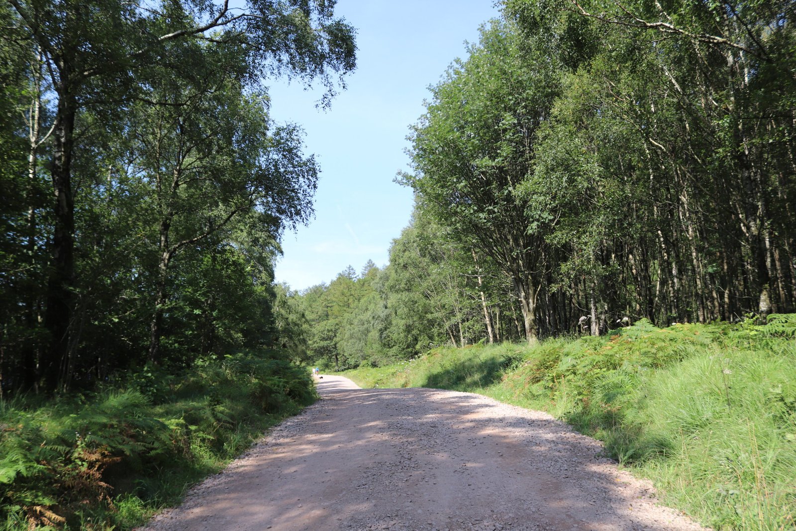 Ennerdale Water image 1