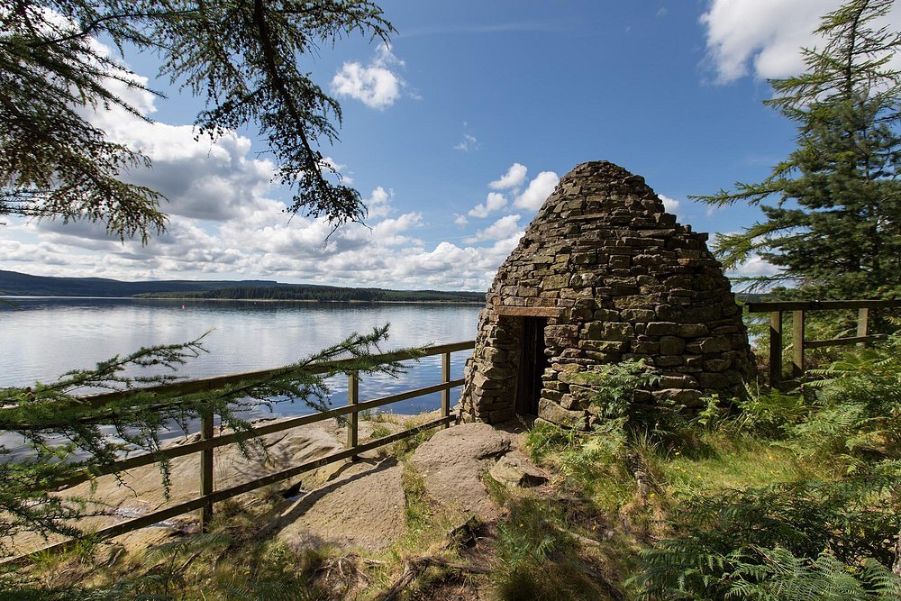 Kielder Forest image 3