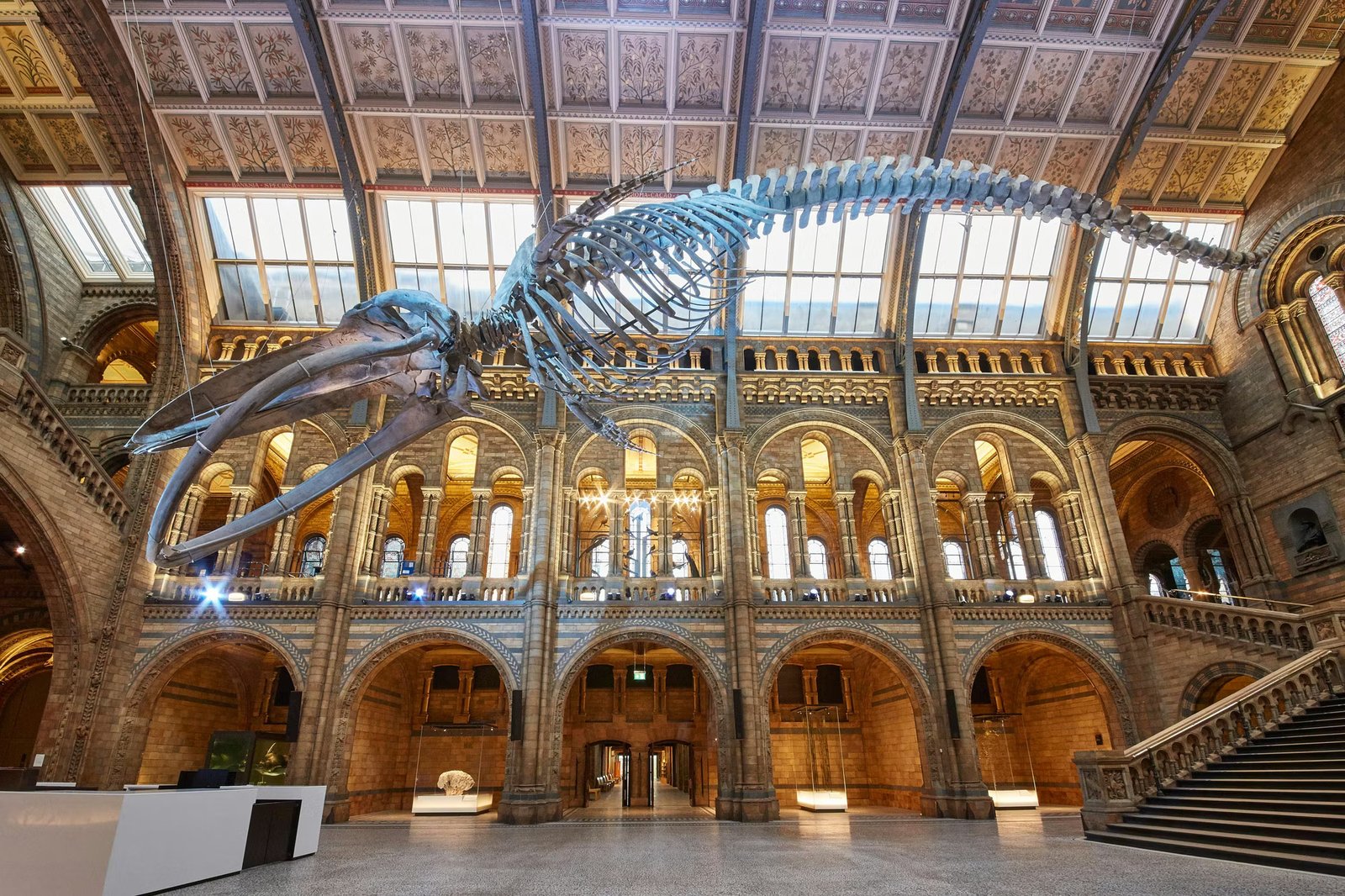 Natural History Museum image 1