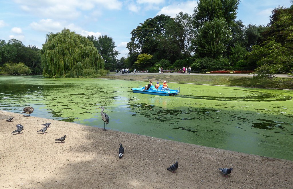 Regent’s Park image 2
